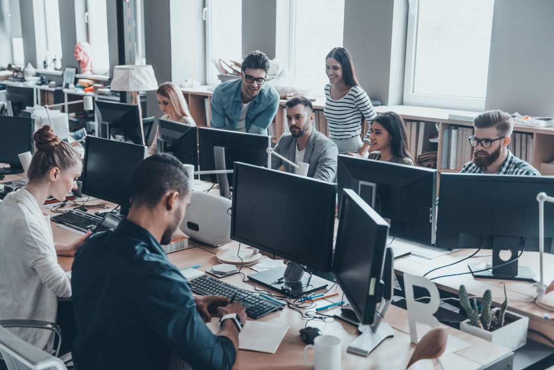 Workers Working in the Office